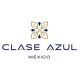 Clase Azul